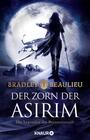 Der Zorn der Asirim, 2