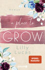 Cherry Hill / Lilly Lucas